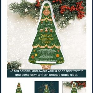 Brand new 2024 Christmas wax from scentsy